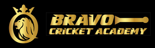 Bravo Cricket Academy